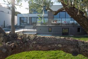 Léonore ROUX - Roux